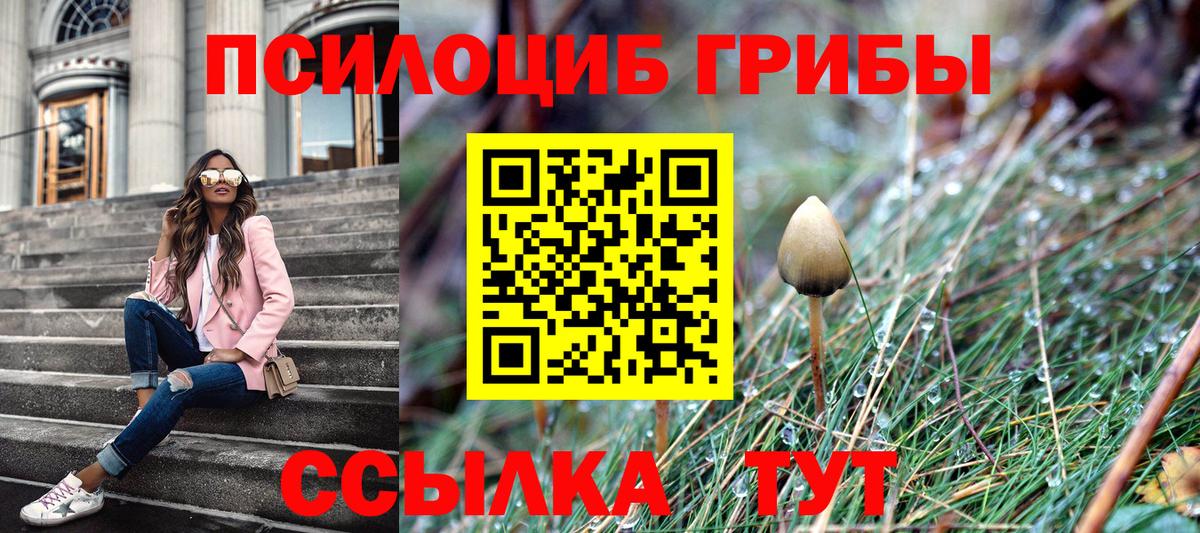 где найти   Псилоцибиновые грибы мицелий  Вход с VPN  Гусиноозёрск 