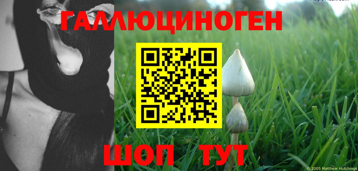 Псилоцибиновые грибы MAGIC MUSHROOMS  Гусиноозёрск 